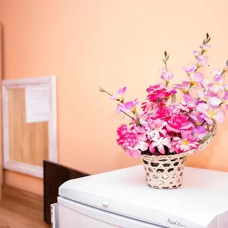 Pensión Lucky 2 Pavel Banya