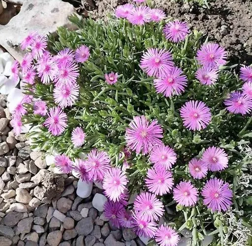 Lucky 2 Guest house Pavel Banya